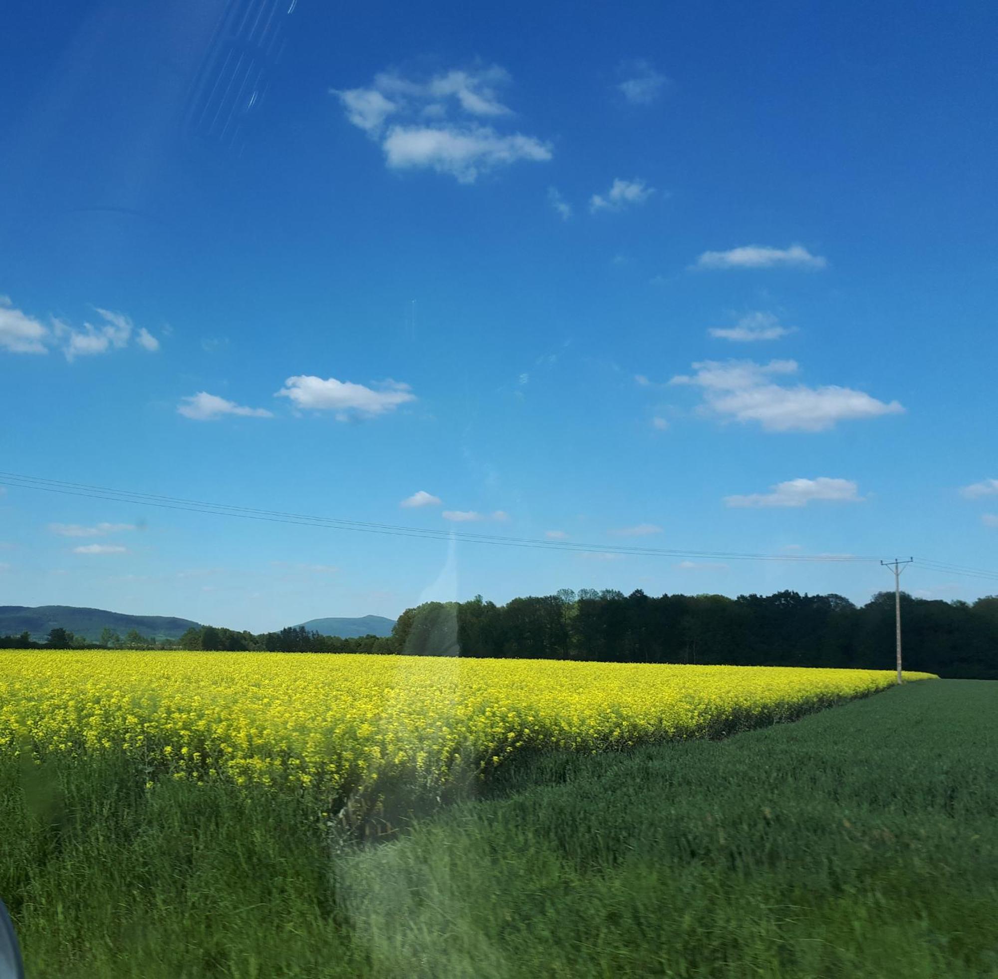 Agroturystyka "Jagap" Oaza Spokoju Dzierżoniów 外观 照片