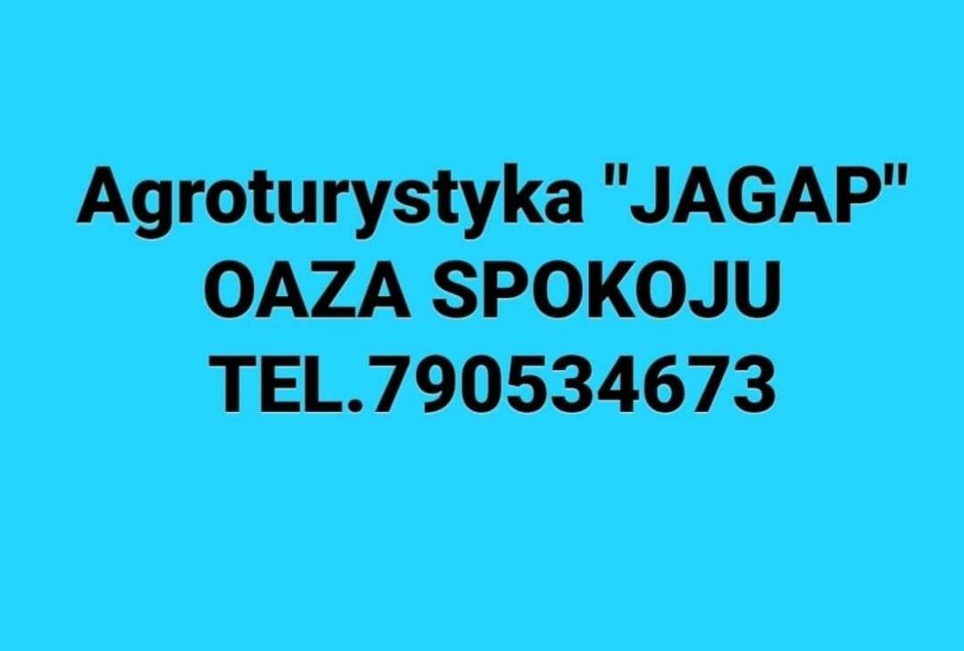 Agroturystyka "Jagap" Oaza Spokoju Dzierżoniów 外观 照片