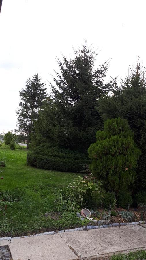Agroturystyka "Jagap" Oaza Spokoju Dzierżoniów 外观 照片